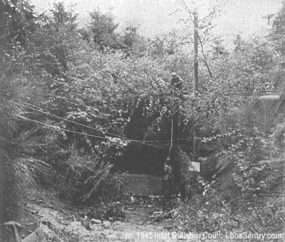 [Rear view of a well camouflaged German pillbox, part of the Siegfried Line defenses near Aachen.]