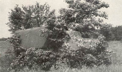 [FIGURE 29. Park a vehicle close to a clump of trees and use cut foliage to break up its shape and shadows. Cut foliage should always be placed upright in its normal growing position so that it looks the same as the surrounding foliage.  Cover all surfaces which may shine.  Tracks must not end here, but must be extended to another logical termination.]