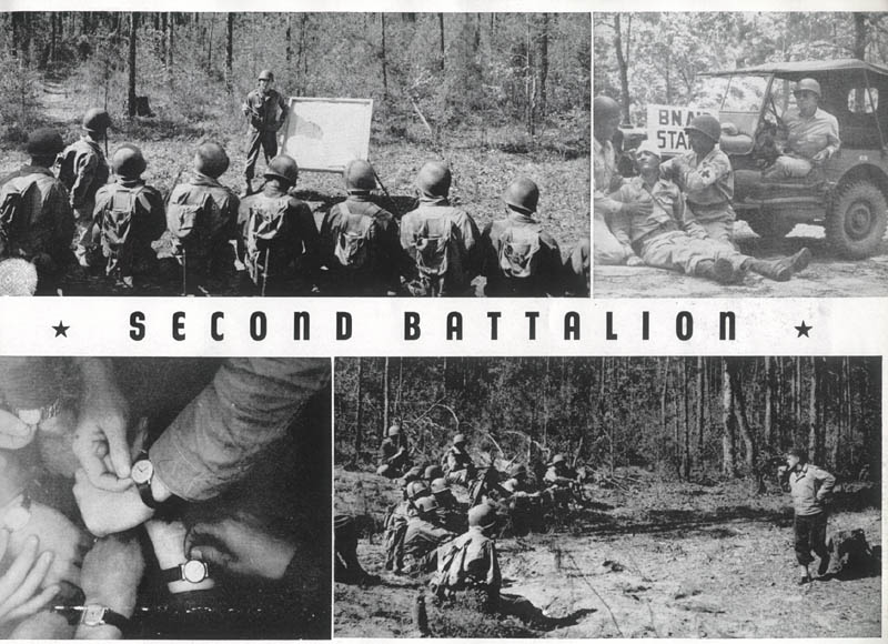 Second Battalion, 260th Infantry